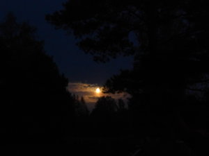 DSCN8512.JPG