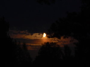 DSCN8519.JPG