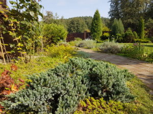 20180909_114718.jpg