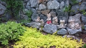 IMG_20180623_200852_879.jpg