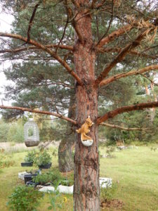 DSCN8241.JPG