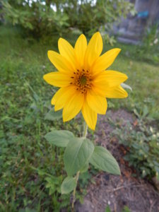 DSCN8023.JPG