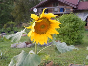 DSCN8049.JPG