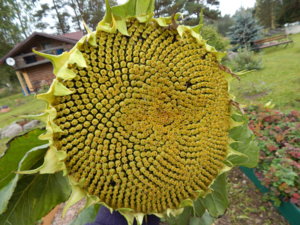 DSCN8195.JPG
