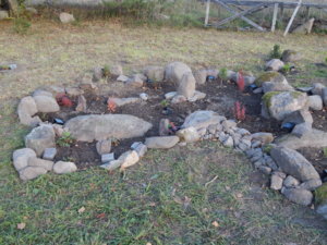 DSCN8662.JPG