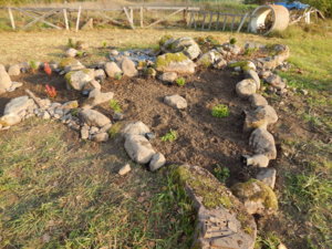 DSCN8398.JPG