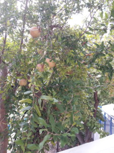 20180918_131441.jpg
