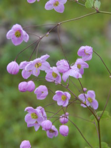 DSCN8207.JPG