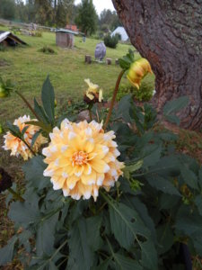 DSCN8208.JPG