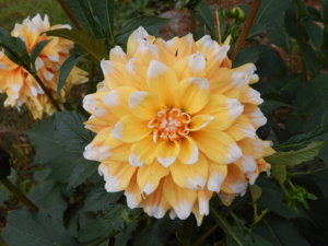 DSCN8209.JPG