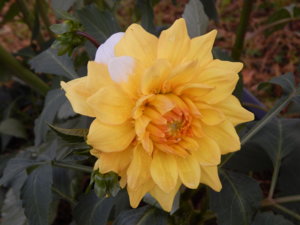 DSCN8237.JPG