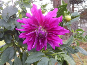 DSCN8231.JPG