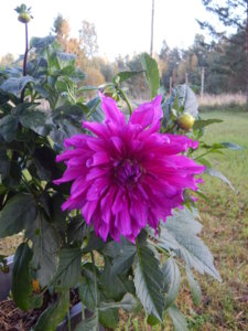 DSCN8248.JPG
