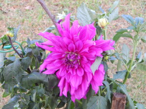 DSCN8496.JPG