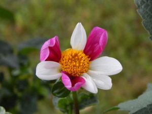 DSCN8210.JPG