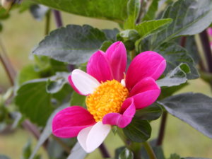 DSCN8214.JPG