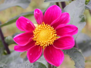 DSCN8215.JPG
