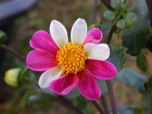 DSCN8497.JPG