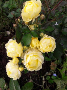 20181003_142202.jpg