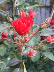 20181003_142600.jpg