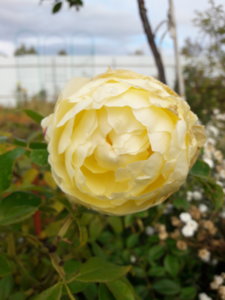 20181003_143045.jpg