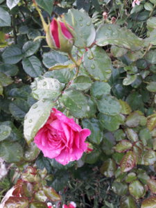 20181003_142236.jpg