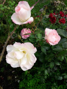 20181003_142051.jpg