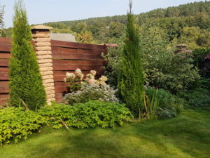20180909_124958.jpg