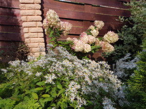 20180909_124901.jpg