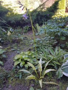 20180913_140621.jpg