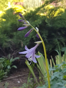 20180913_140639.jpg