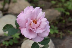 IMG_6836.JPG