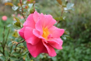 IMG_6914.JPG