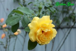IMG_6946.JPG