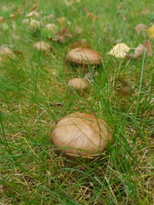 20181005_165627.jpg