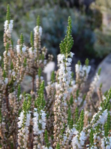 DSCN8691.JPG