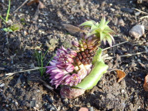 DSCN8252.JPG