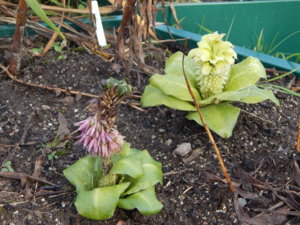 DSCN8752.JPG