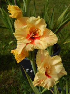 DSCN8219.JPG