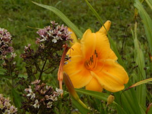 DSCN8205.JPG