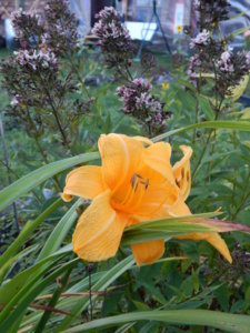 DSCN8554.JPG