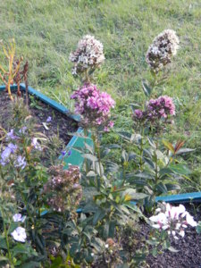 DSCN8680.JPG