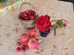 DSCN8590.JPG