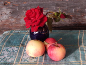DSCN8597.JPG