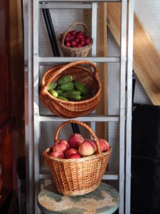 DSCN8600.JPG