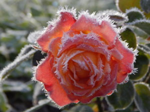 DSCN8816.JPG