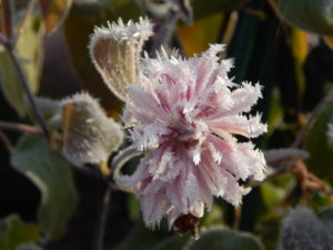 DSCN8818.JPG