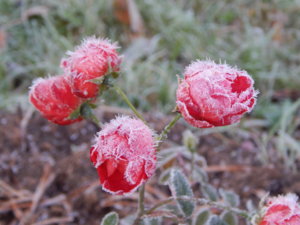 DSCN8820.JPG