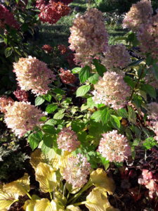 20181008_103652.jpg