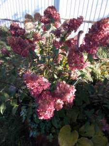 20181008_103636.jpg